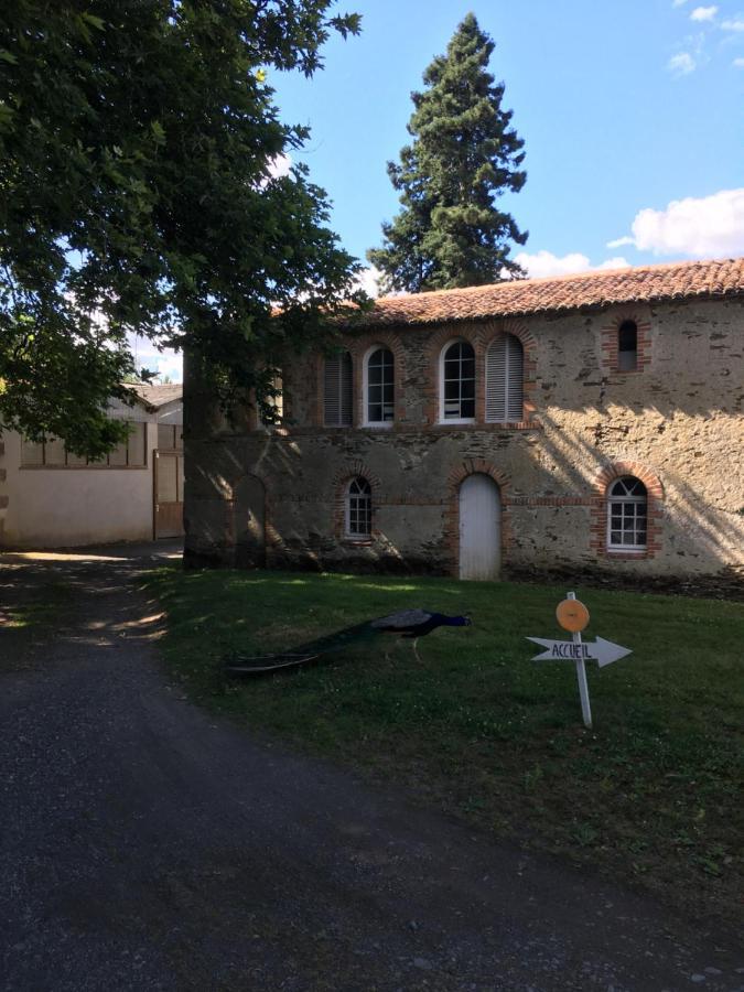 Cabanes Et Studios A La Bernardiere Sevremoine Εξωτερικό φωτογραφία